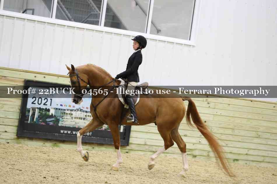 Proof 22BUCK_04565