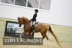 22BUCK_04565 proof