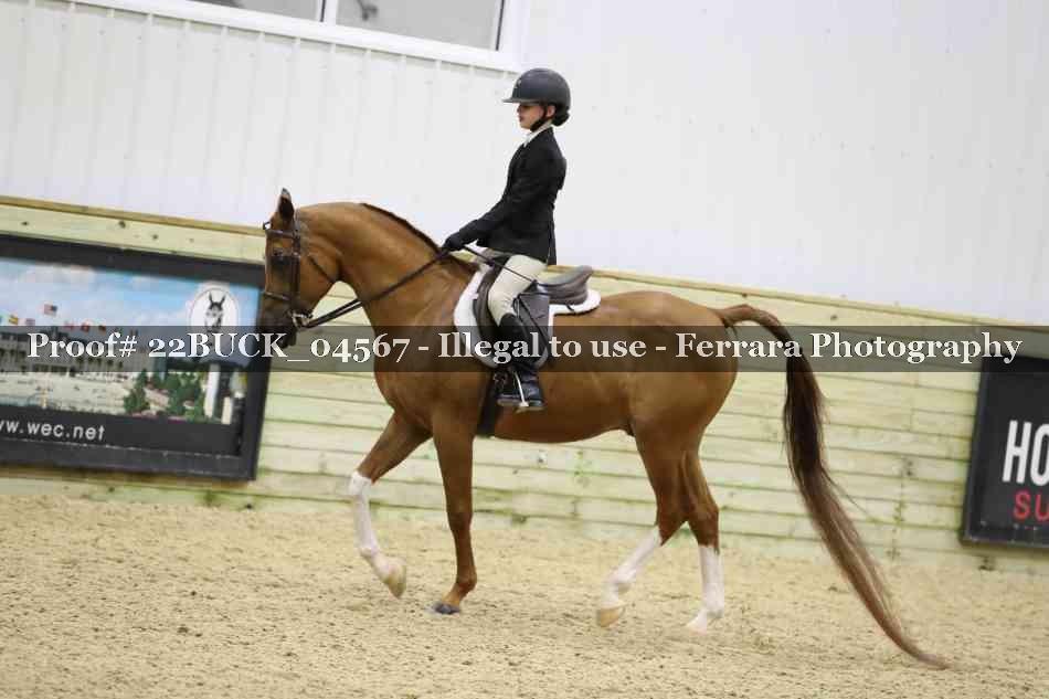 Proof 22BUCK_04567
