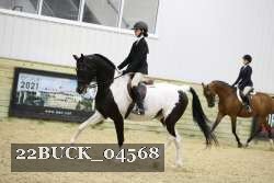 22BUCK_04568 proof