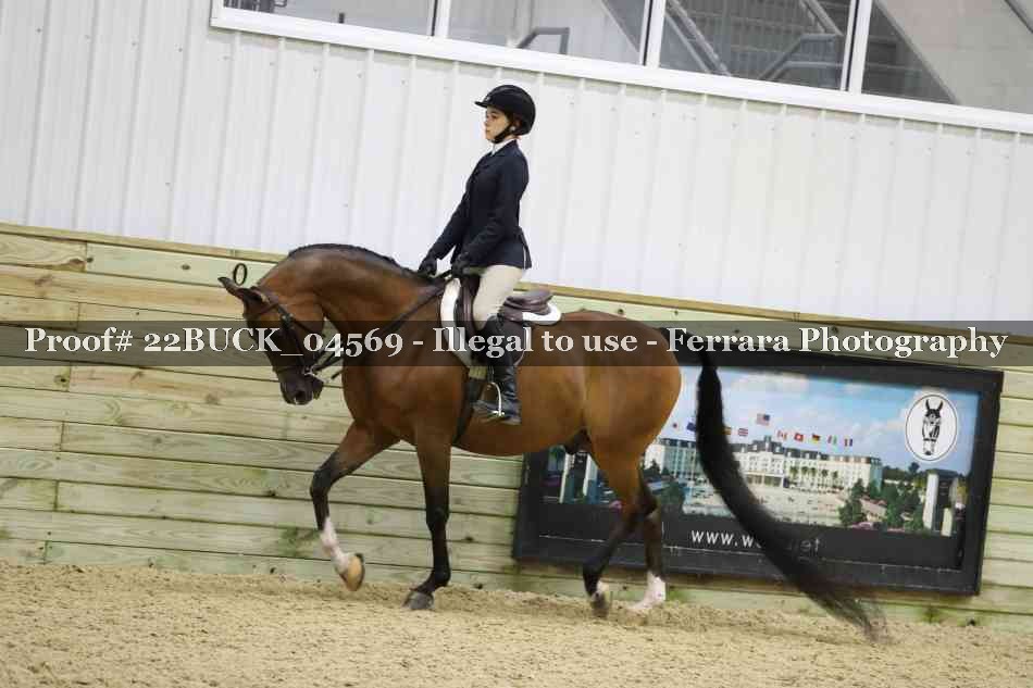 Proof 22BUCK_04569