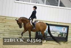 22BUCK_04569 proof