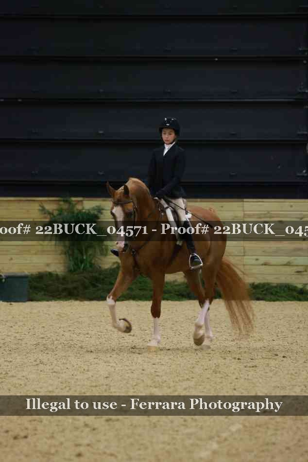 Proof 22BUCK_04571