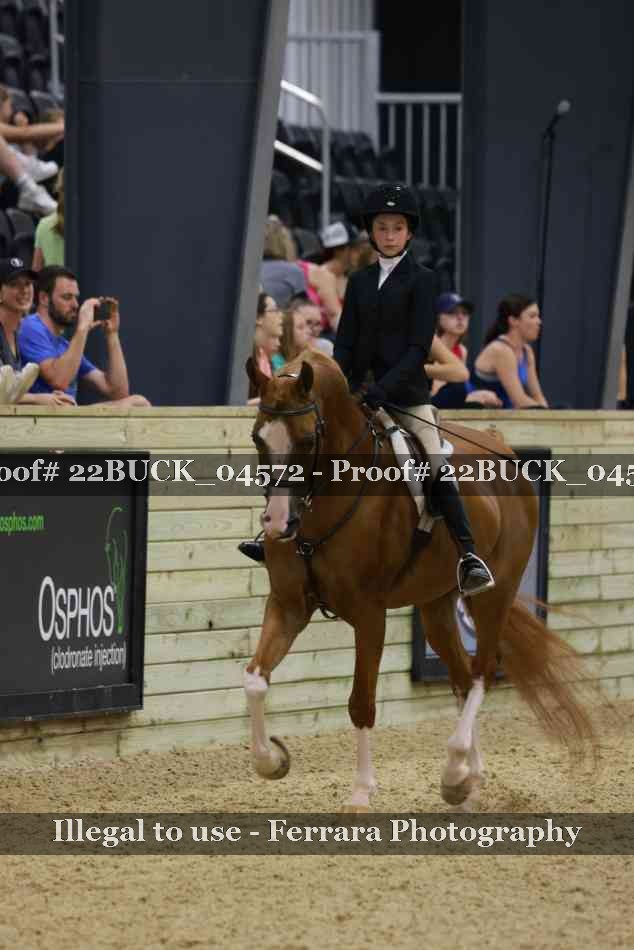 Proof 22BUCK_04572