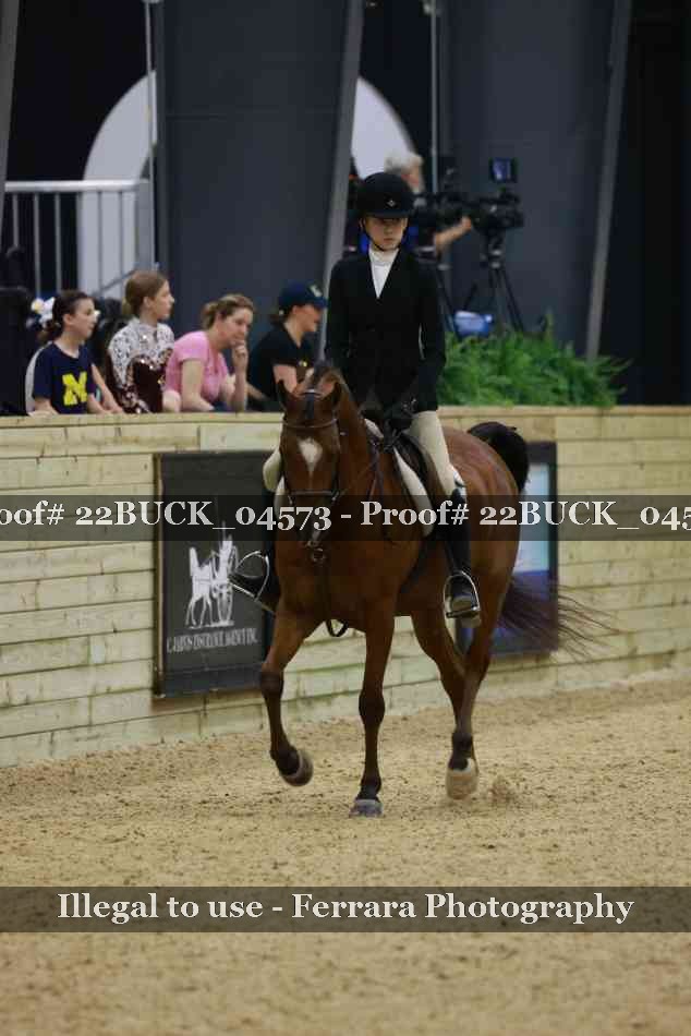 Proof 22BUCK_04573