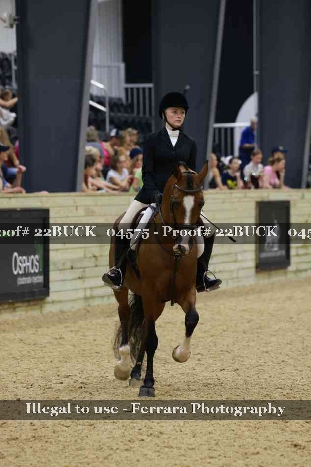 Proof 22BUCK_04575