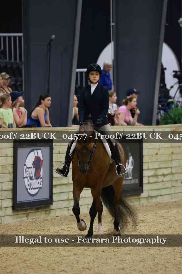 Proof 22BUCK_04577