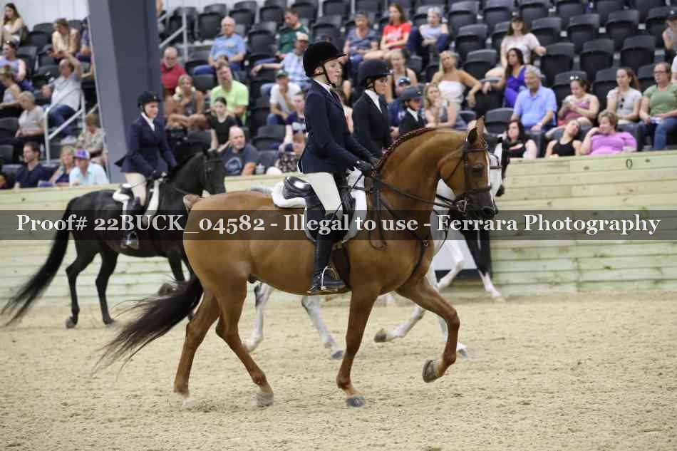 Proof 22BUCK_04582