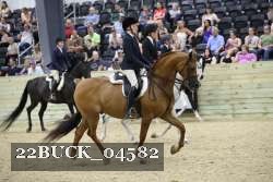 22BUCK_04582 proof