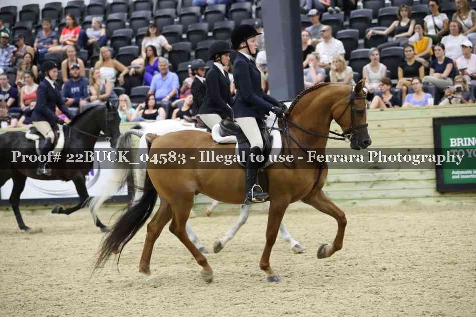 Proof 22BUCK_04583