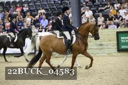 22BUCK_04583 proof
