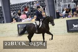 22BUCK_04584 proof