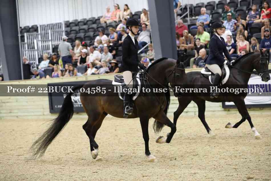 Proof 22BUCK_04585