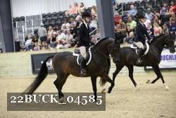 22BUCK_04585 proof