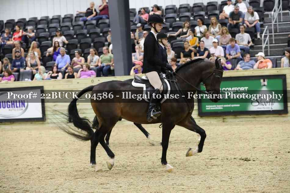 Proof 22BUCK_04586