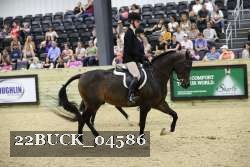 22BUCK_04586 proof