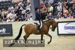 22BUCK_04587 proof