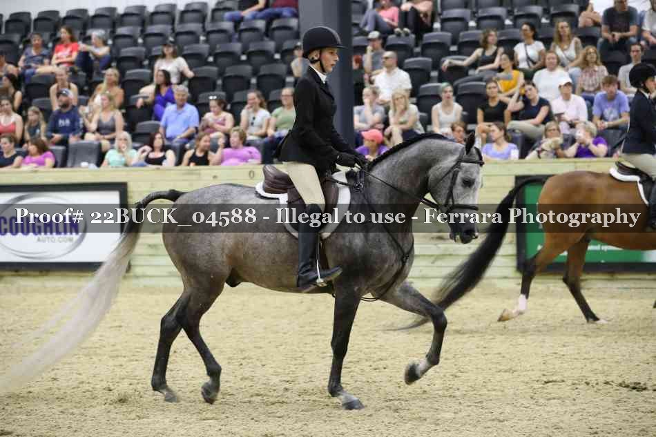 Proof 22BUCK_04588