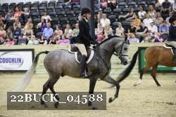 22BUCK_04588 proof