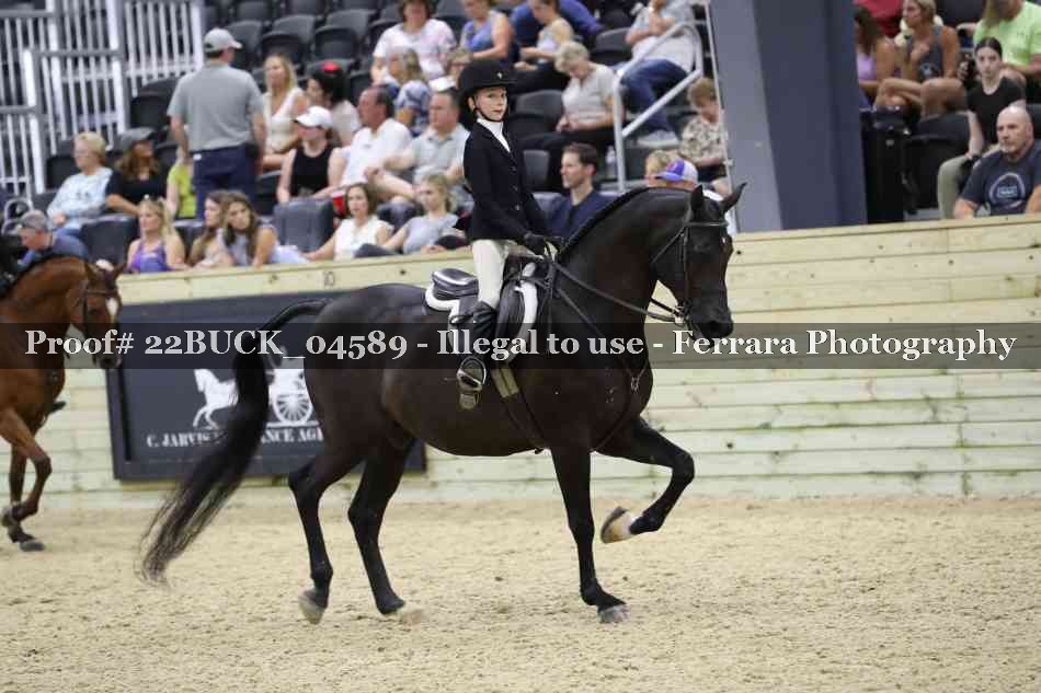 Proof 22BUCK_04589