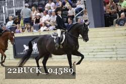 22BUCK_04589 proof