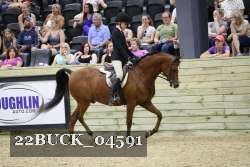 22BUCK_04591 proof