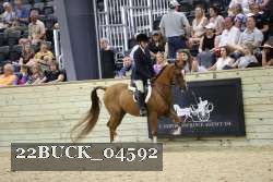 22BUCK_04592 proof