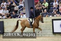 22BUCK_04593 proof