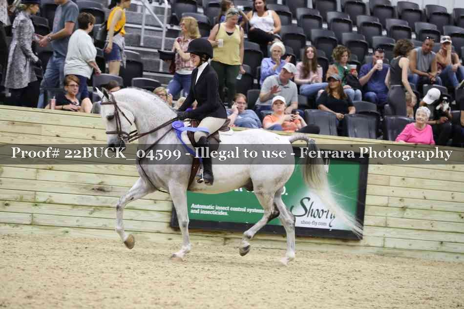 Proof 22BUCK_04599
