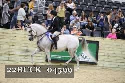 22BUCK_04599 proof