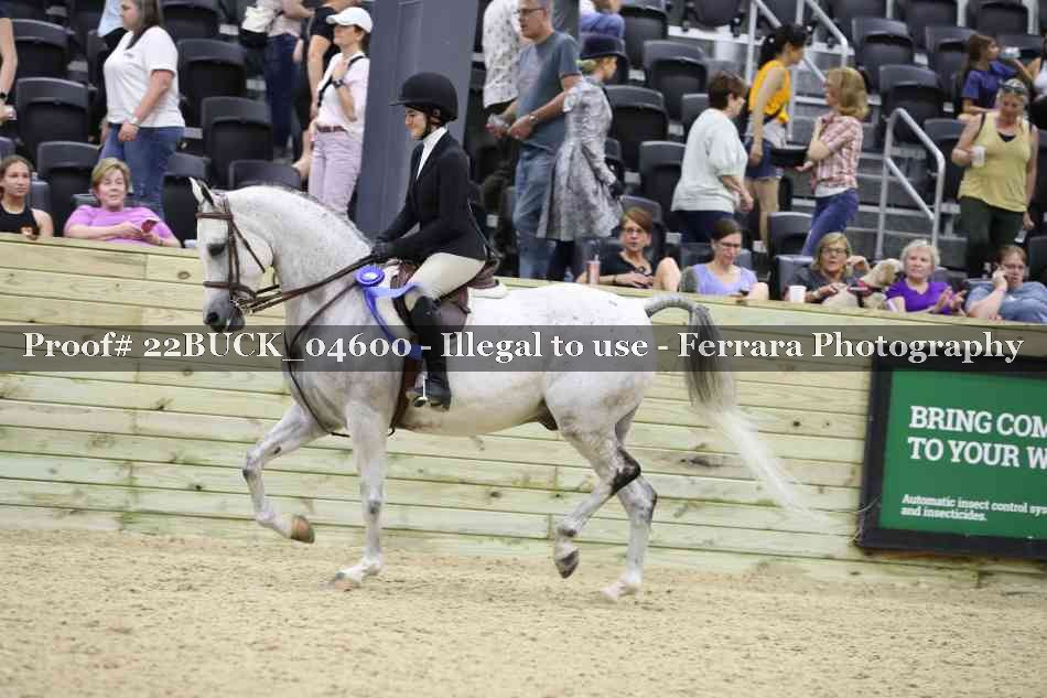 Proof 22BUCK_04600