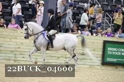 22BUCK_04600 proof