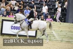 22BUCK_04601 proof