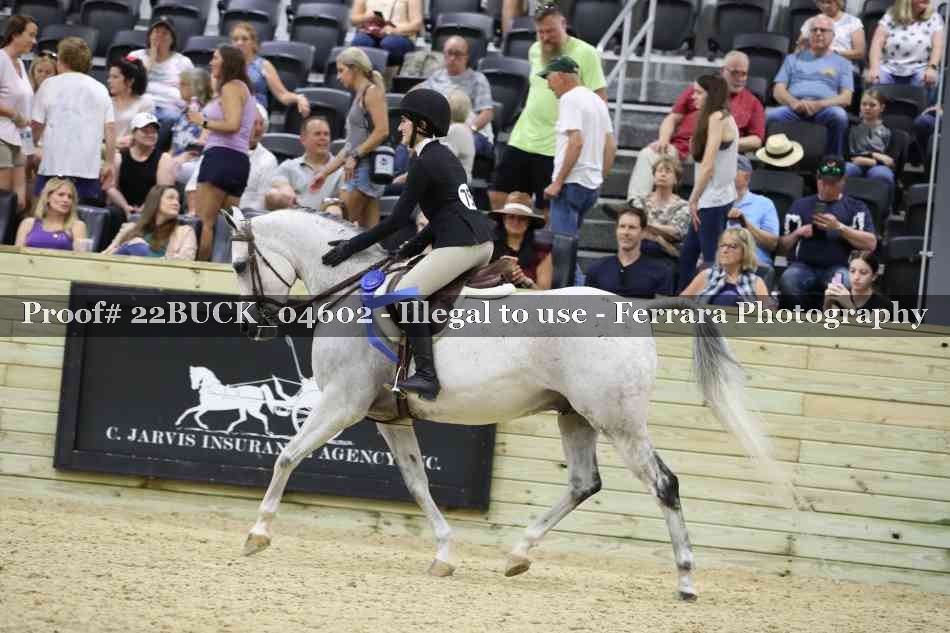 Proof 22BUCK_04602