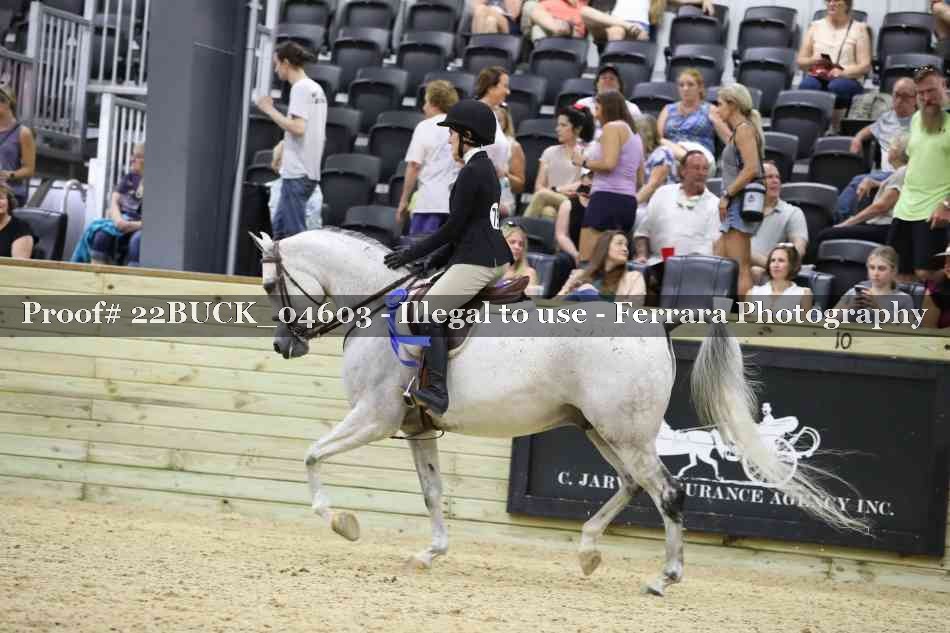 Proof 22BUCK_04603