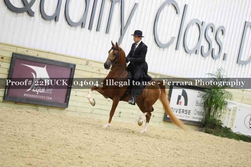 Proof 22BUCK_04604
