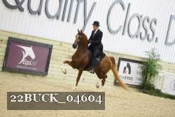 22BUCK_04604 proof