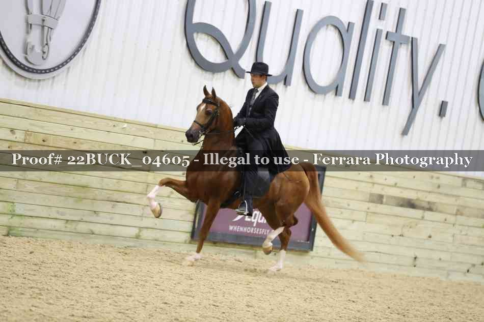 Proof 22BUCK_04605