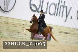 22BUCK_04605 proof