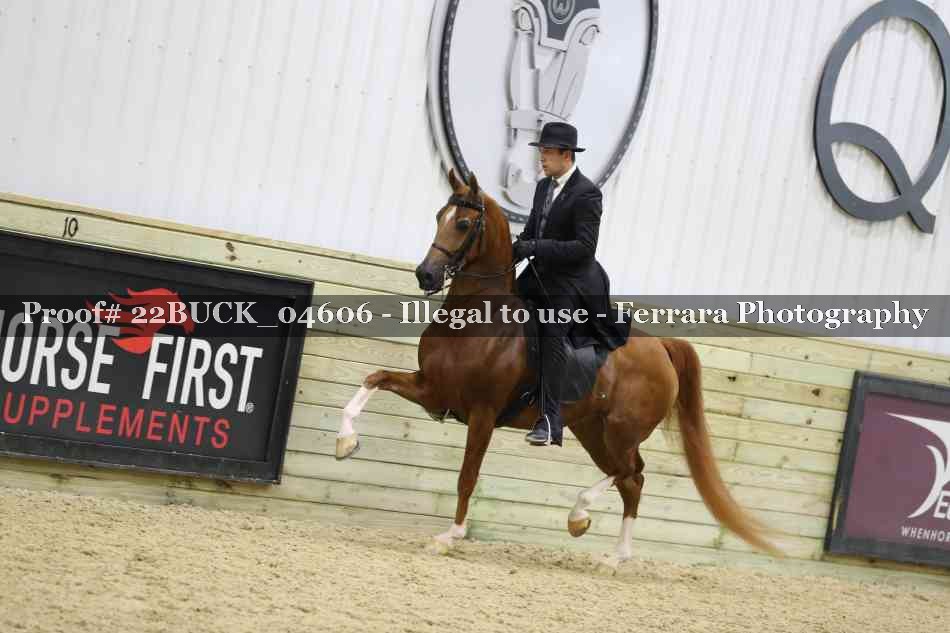 Proof 22BUCK_04606