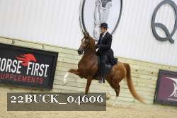 22BUCK_04606 proof