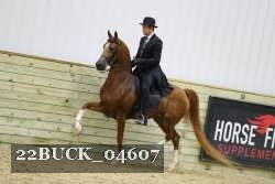 22BUCK_04607 proof