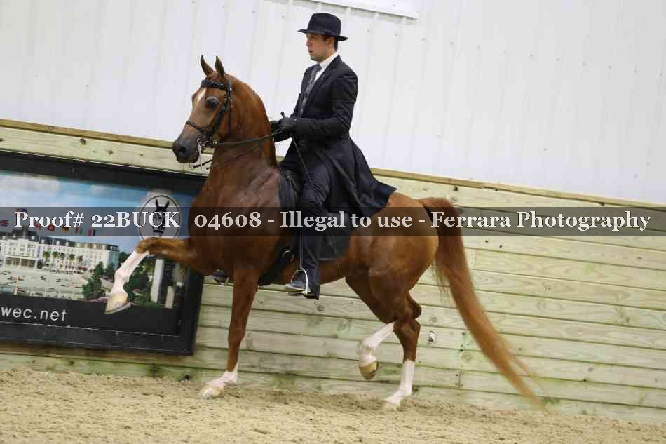 Proof 22BUCK_04608