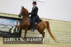 22BUCK_04608 proof