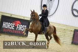 22BUCK_04610 proof