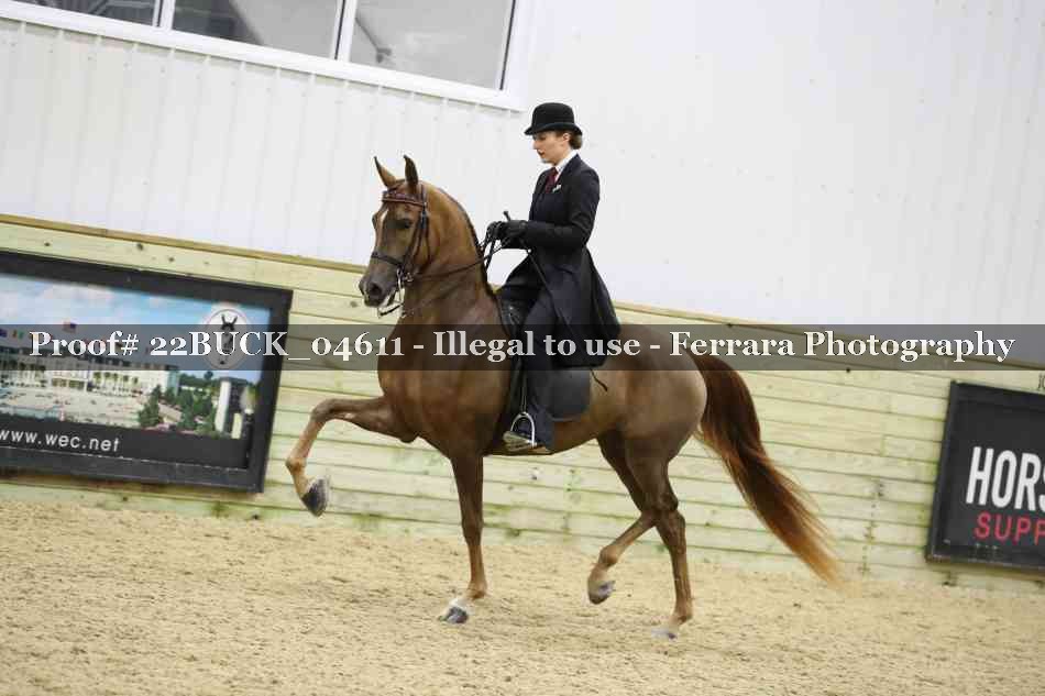 Proof 22BUCK_04611