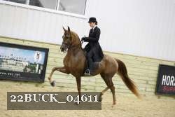 22BUCK_04611 proof