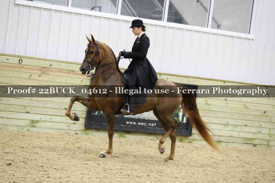 Proof 22BUCK_04612