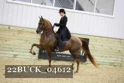 22BUCK_04612 proof