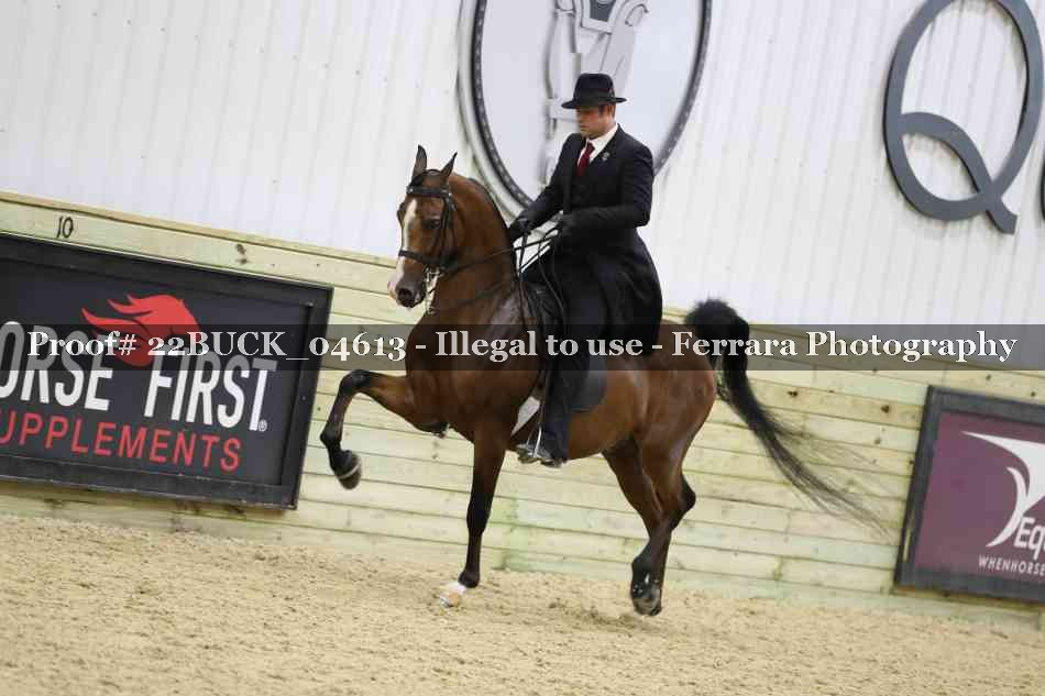 Proof 22BUCK_04613